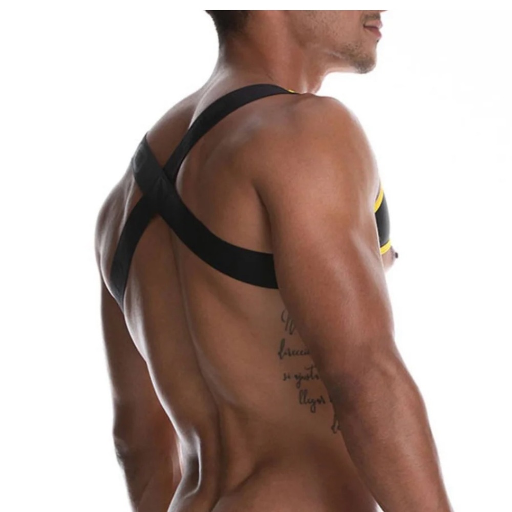 Men's GIGO  Latin Harness - Picture 3 of 6